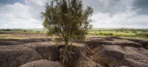 Soil erosion in the Tanzanian Maasai landscape