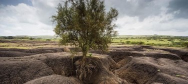 Soil erosion in the Tanzanian Maasai landscape