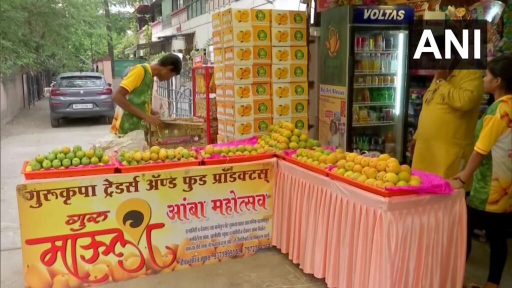 Alphonso Mangoes Available on EMI in Pune for Mango Lovers