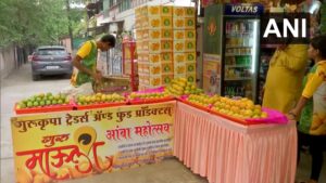 Alphonso Mangoes Available on EMI in Pune for Mango Lovers
